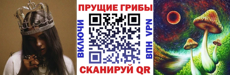 где продают наркотики  Киренск  кракен маркетплейс  Псилоцибиновые грибы GOLDEN TEACHER 